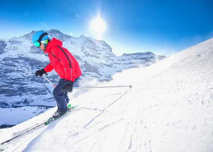 Tannenheim By Interhome Davos